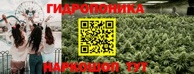 спайс Гусев