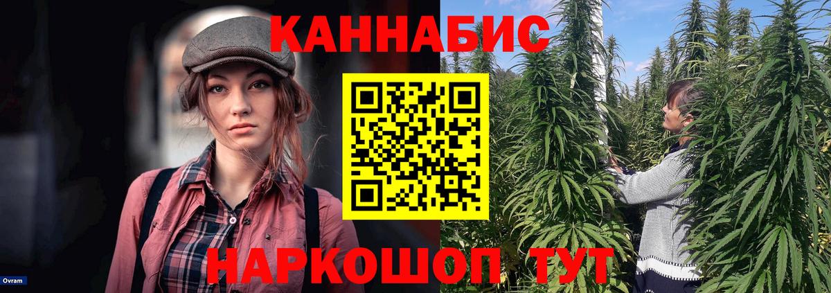 Марихуана LSD WEED  Вход с VPN  Миллерово  Шишки марихуана Amnesia  Канабис сатива 